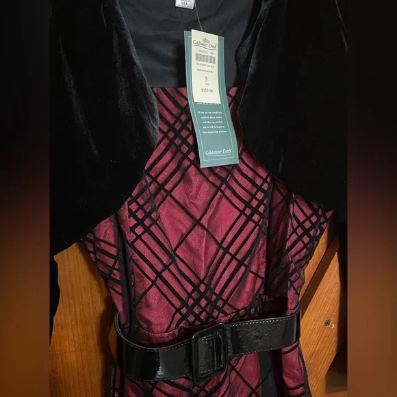 NWT Coldwater Creek Sheer Mesh Jacketed Dress Sz 8 - Picture 11 of 16